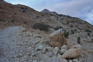 130_Izrael_2016_Dead_sea_Ein_Gedi
